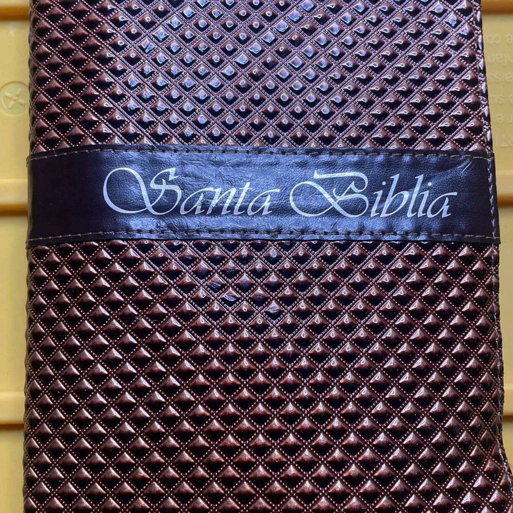 SANTA BIBLIA-RVR 1960 (SPANISH EDITION) By United Bible Societies